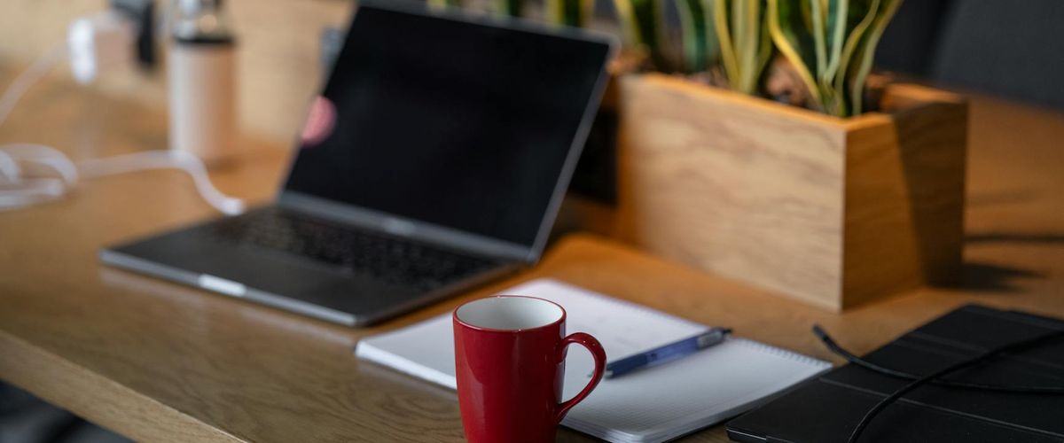 Minimalist desk with a small plant and warm coffee